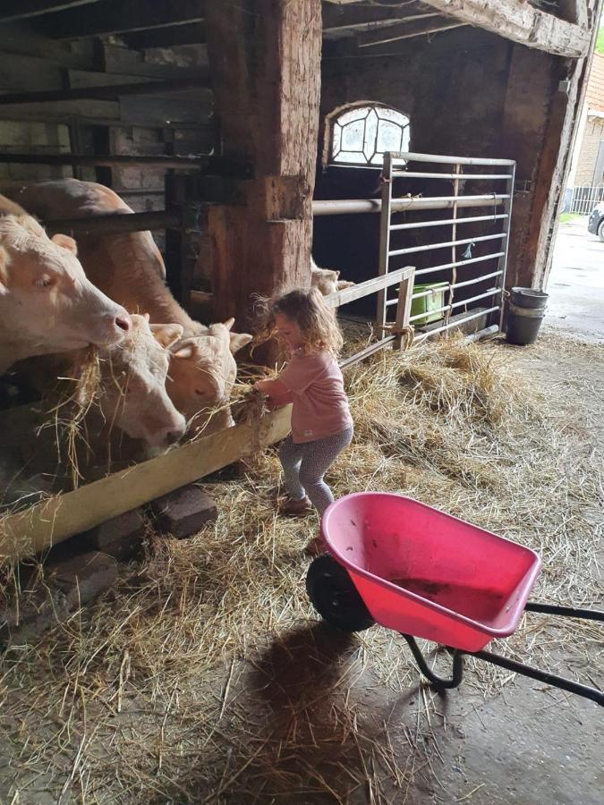 Vakantieboerderij Mariahoeve
