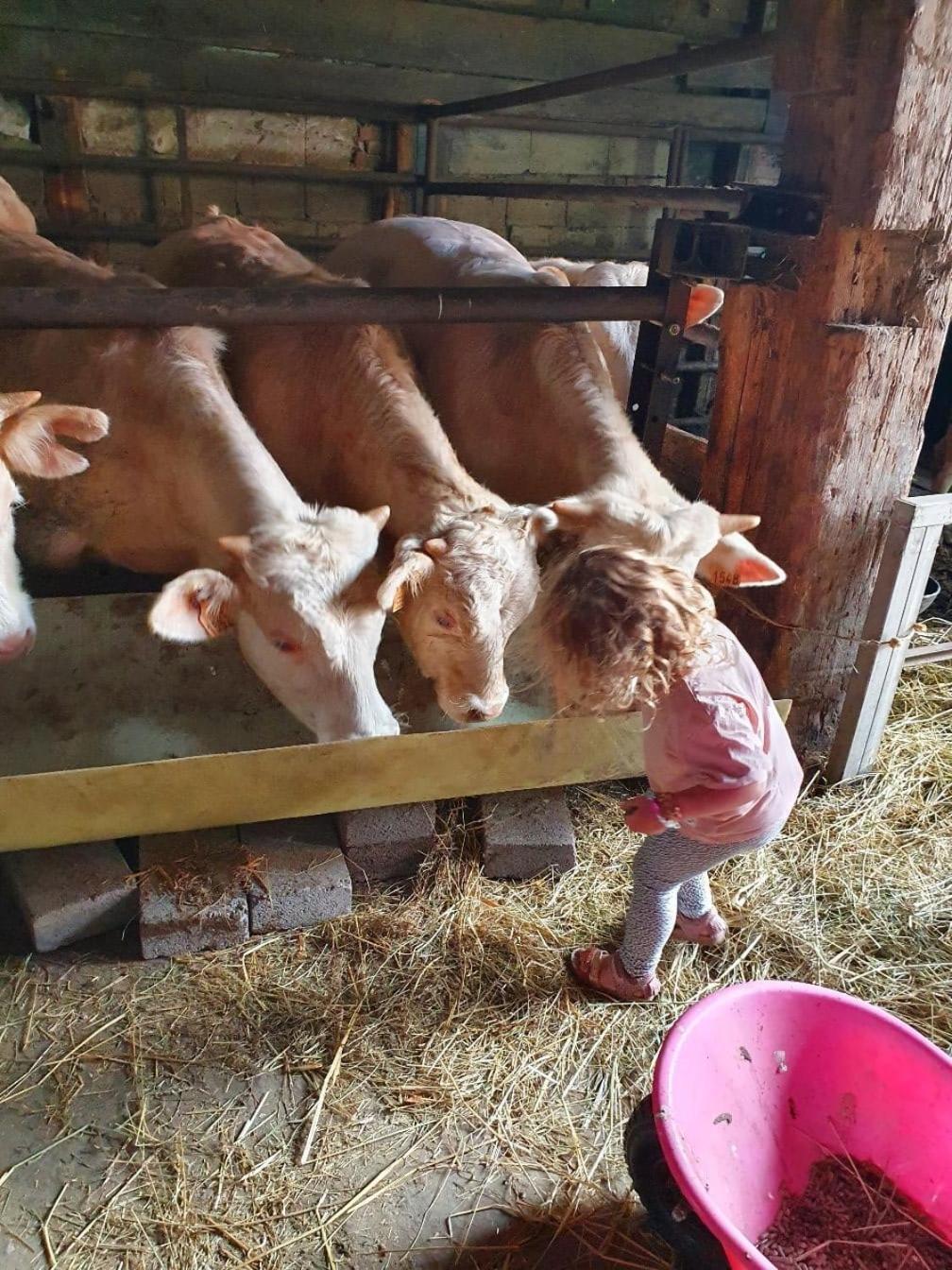 Vakantieboerderij Mariahoeve