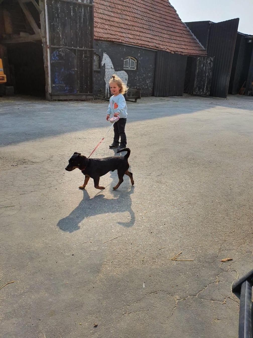 Mariahoeve Vakantieboerderij