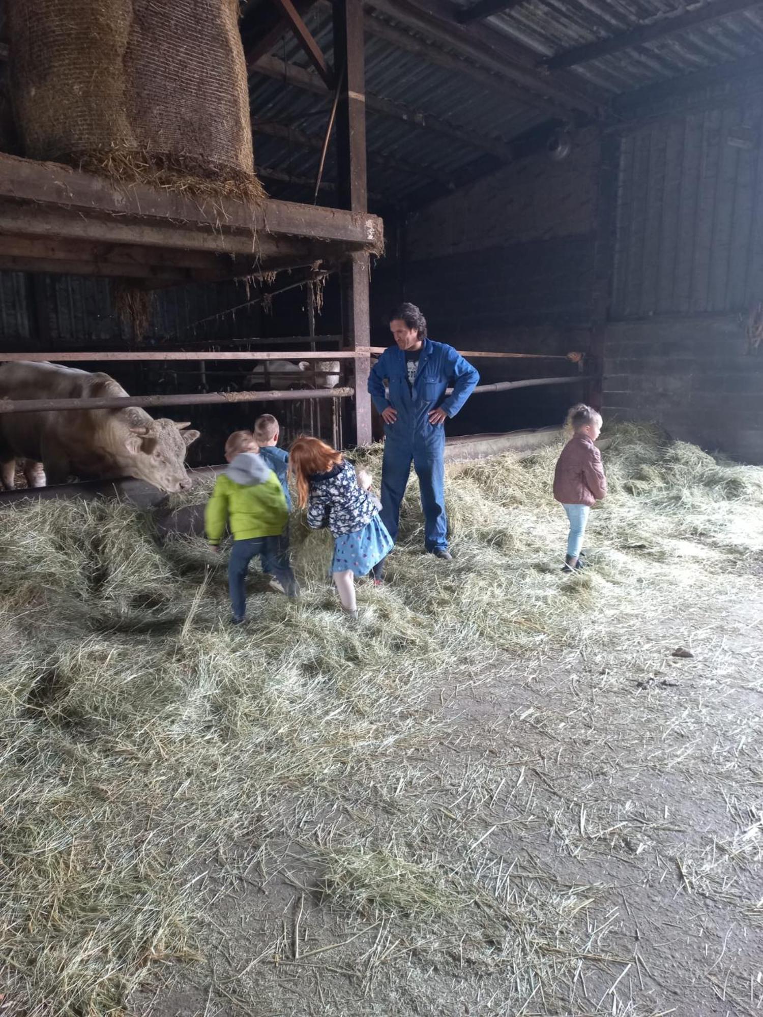 Mariahoeve Vakantieboerderij